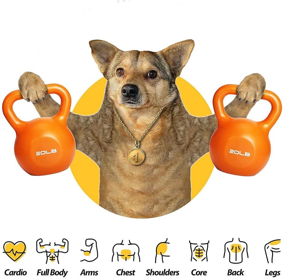 20 lb Kettlebell - 1 Piece - Strength Training Vinyl Coated Kettle Bell for Home Gym Workout Weight Lifting Equipment, Comfortable Grip Wide Handle