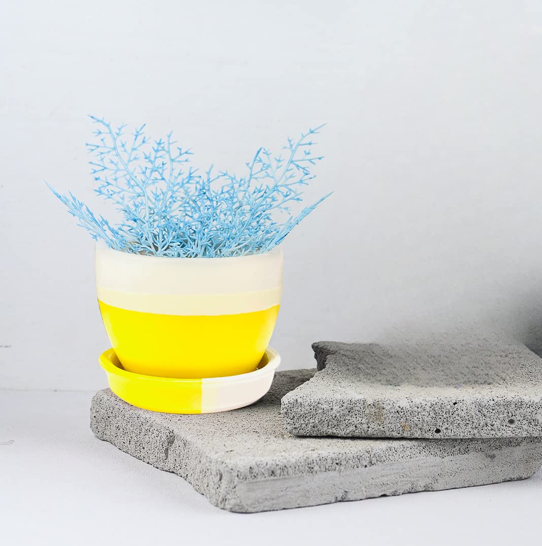 JRM Ceramic Planter Flower Pot Indoor Garden Pot 3" Succulent Plant Pot for Indoor with Saucer (Yellow) (B0BHKXYGP7) Amazon Price History, Amazon Price Tracker