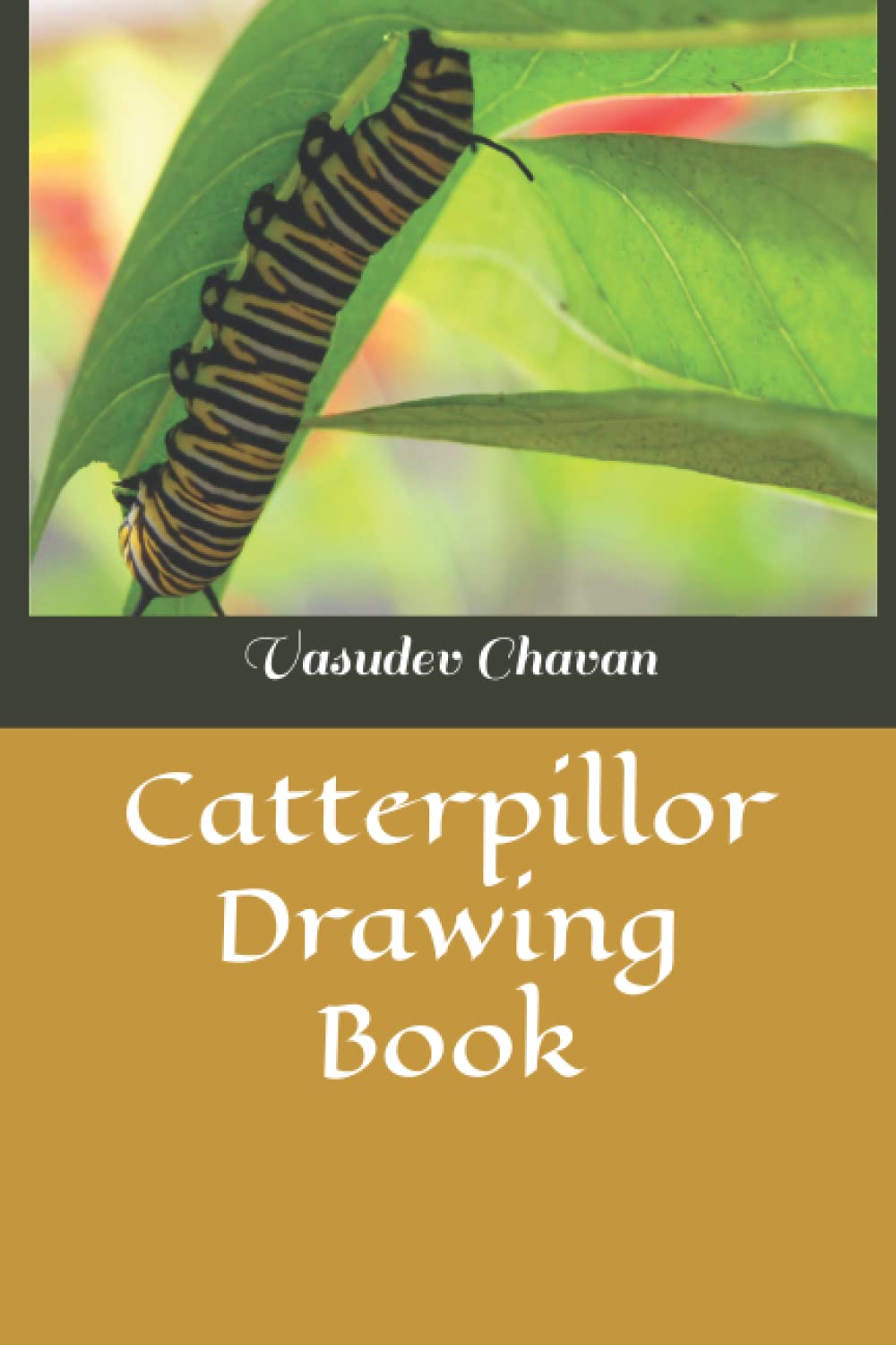 Catterpillor Drawing Book