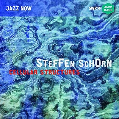 Steffen Schorn: Cellular Structures