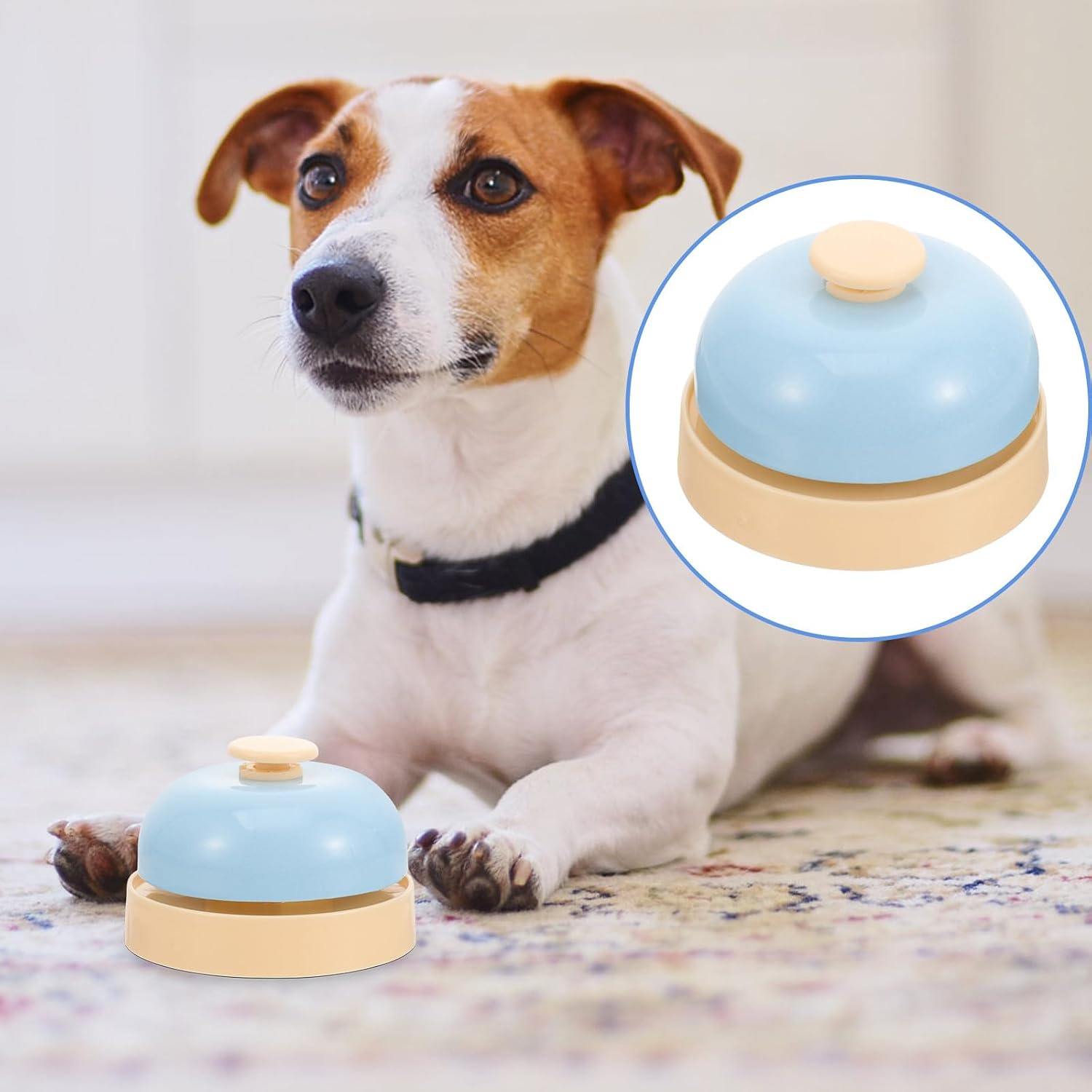 Dog Doorbell for Potty Training, Interactive Press Bell with Blue Base, Sturdy Pet Training for Puppies and Dogs