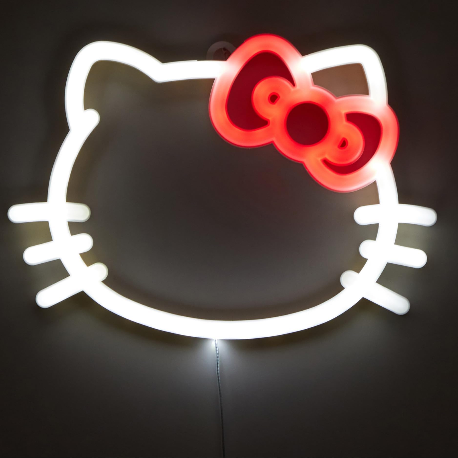 LED Neon Wall Hanging
