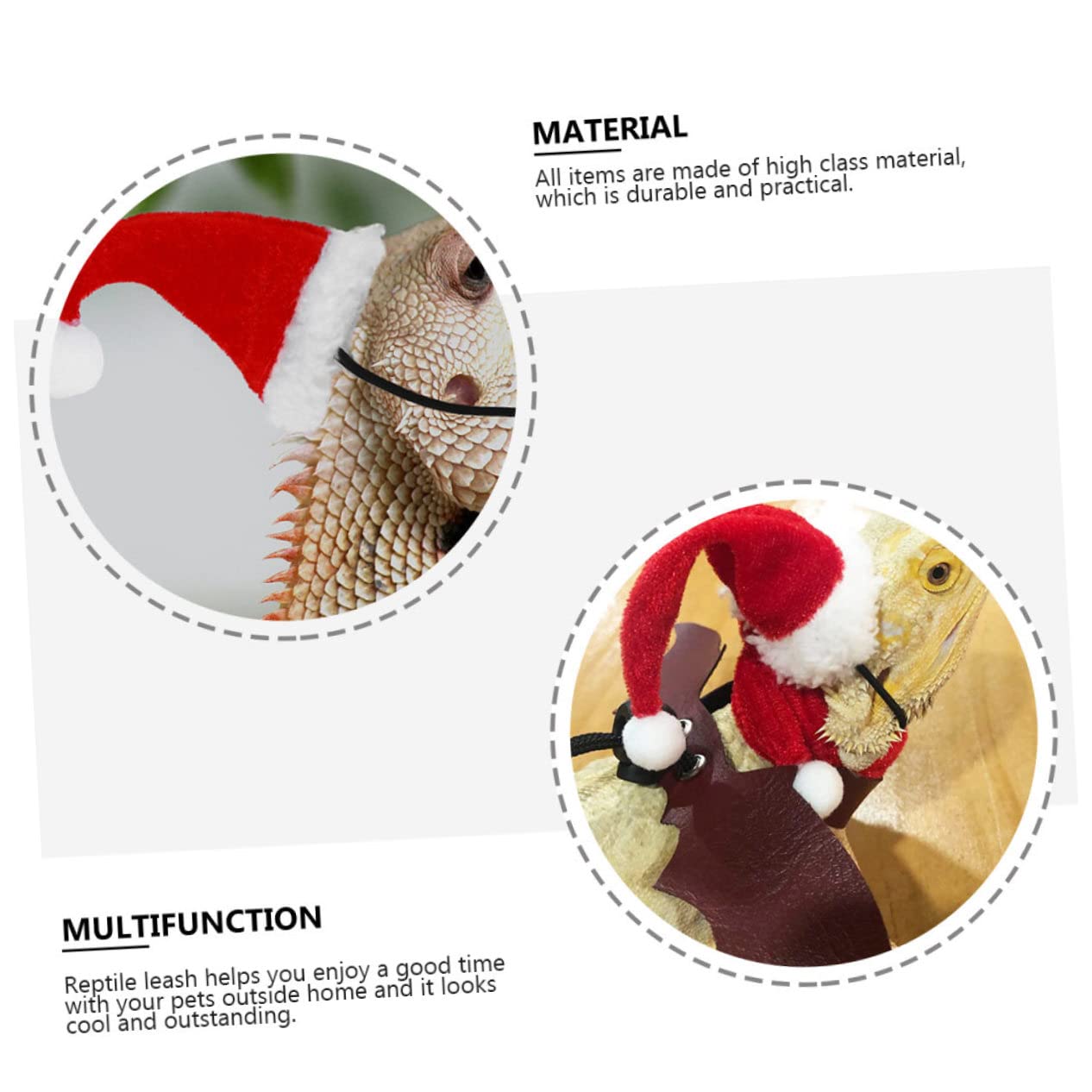 BESPORTBLE 2sets Accessori Per Rettili Guinzaglio Cappello e Sciarpa Per Lucertole Decorazioni Festive Per All