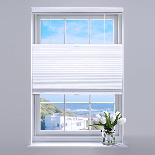 SUNFREE Persianas celulares opacas de arriba hacia abajo, pantalla de ventana de panal para ventanas, 33 pulgadas de ancho x 64 pulgadas de alto,