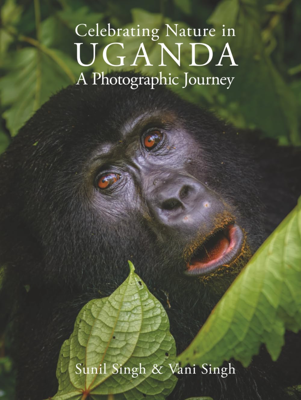 Livre photo Ouganda : album de photographies nature pour s'évader
