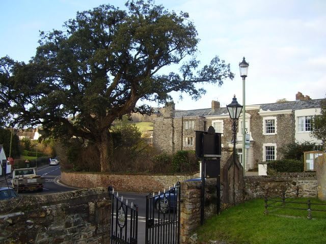 UK Photo Print A4 / 12x8 Court House, Cork tree Sidbury/SY1391 Viewed from the church y c2010