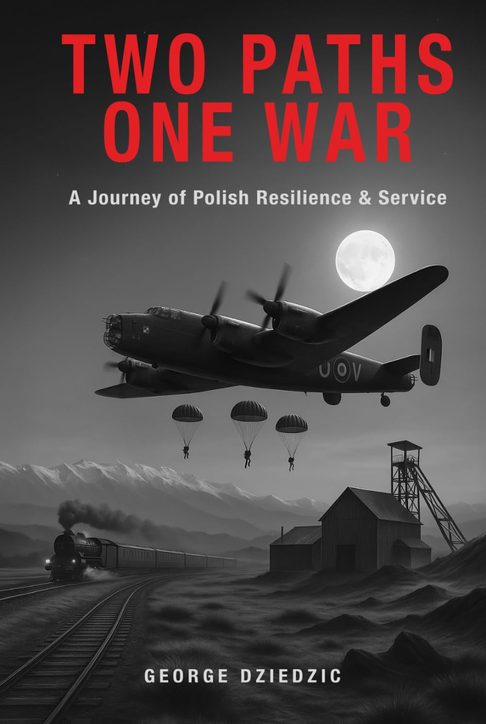 Two Paths One War: A Journey of Polish Resilience and Service