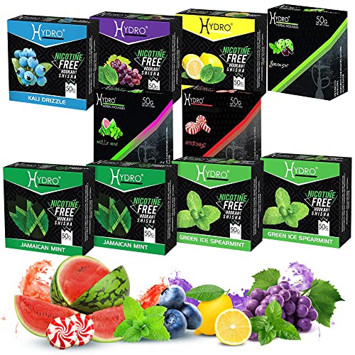 Hydro Hookah Flavors, Fruit Mix Hookah Shisha In Jamaican Mint, Blueberry Mint, Chocolate Mint, Grape Mint, Lemon Mint, Watermelon Mint, Peppermint, Mint Lovers Mix Set, 50-Gram Packs (Pack Of 10) #TOP1