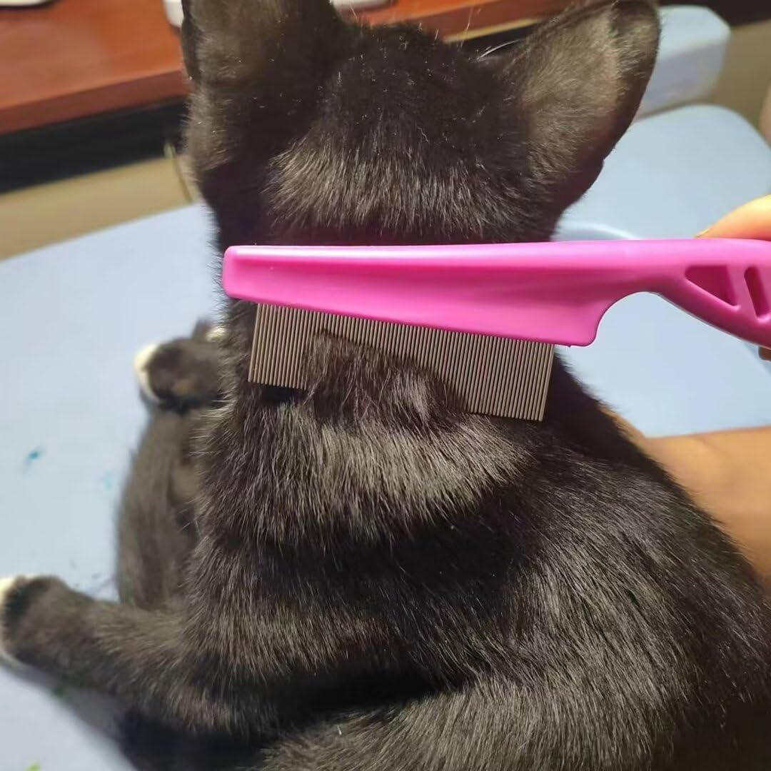 Amazon.com: 6 Pcs Flea Comb For Cats,Stainless Steel Dog Cat Grooming Combs  with Rounded Teeth,Multifunctional Pet Lice Comb Tear Stain Removal : Pet  Supplies