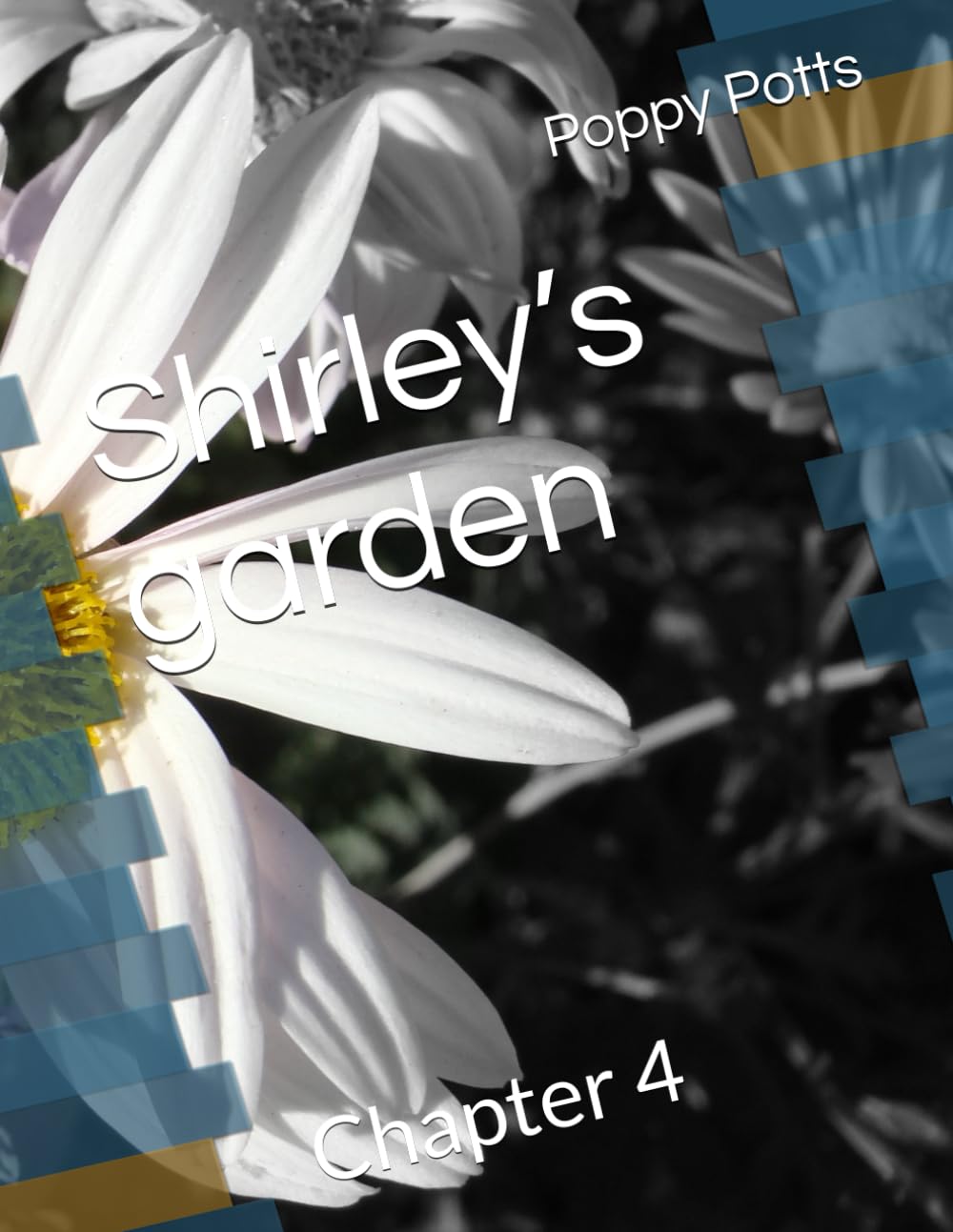 Shirley’s garden (Shirley’s garden billy and Benny’s adventures , by poppy Potts)
