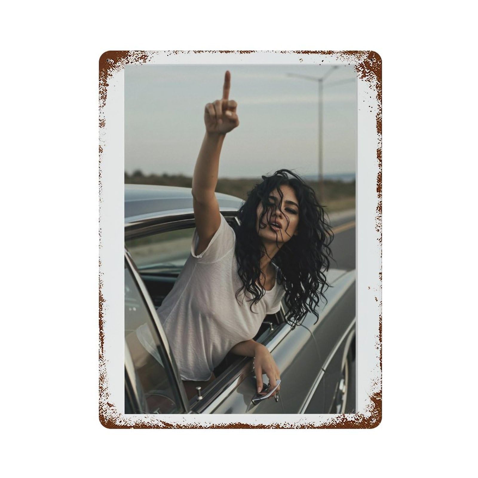 xiaoxiaoshen Middle Finger Photography S3 Wall Decor Art Metal Tin Poster Modern Home Decor Art Home Bar Shop Decorations Vintage Sign 40x30cm