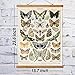 Ovfovy Vintage Butterflies Poster with Wooden Frame - Cottagecore Aesthetic Wall Art Painting - Retro Style of Poster for Living Room Office, Classroom Decor 16 x 23 inches