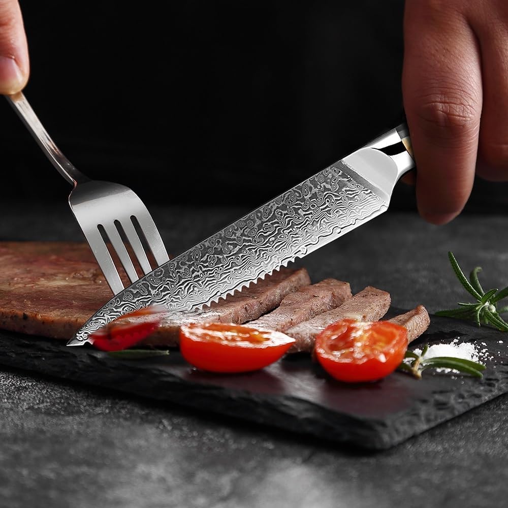 DAXXIN Kitchen Knife Sets, 6 PCS Damascus Steak Knife Set 67 Layer Japanese VG10 Steel Razor Sharp Serrated Blades Black Resin&Natural Wood Pattern Handles, jiang198184