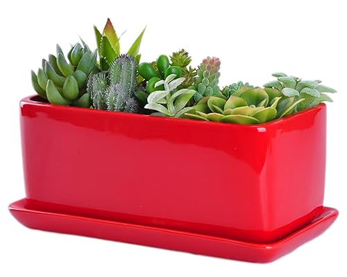 VanEnjoy 10 Inch Red Rectangle Ceramic Succulent Planter Pot Decorative