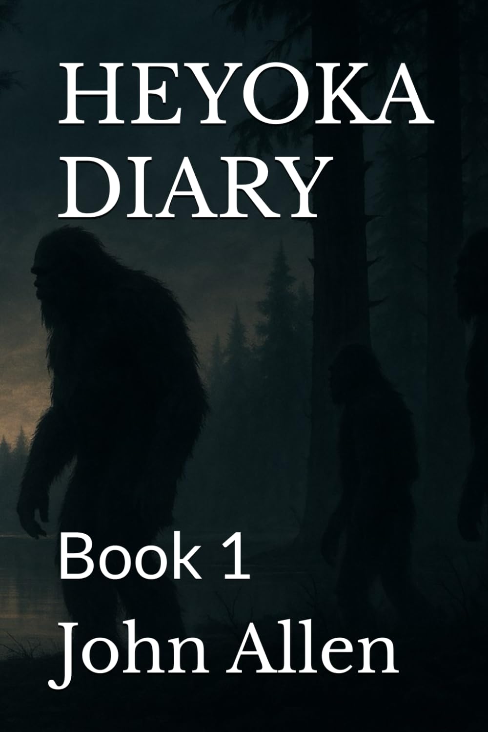 HEYOKA DIARY: Book 1