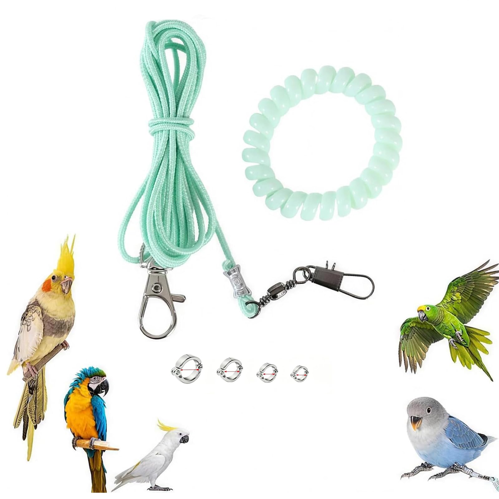 300cm Bird Harness, Parrot Harness with 4 Different Size Foot Ring with Anti Lost Bracelet, Secure Fit Mini Lightweight Outdoor Bird Leash for Birds for Budgies, Cockatiels & Small Birds-image-46