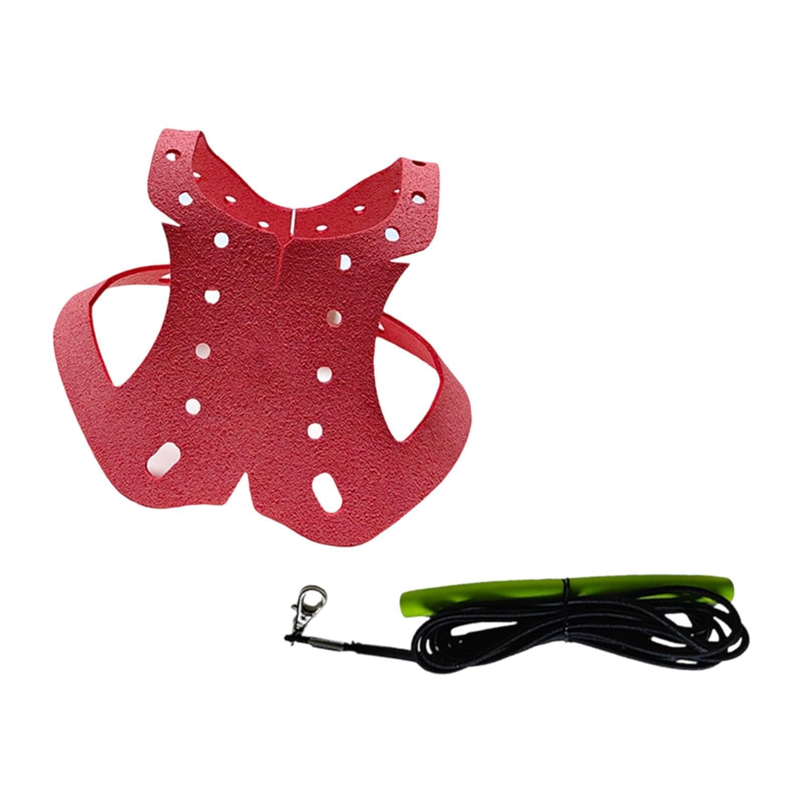 predolo Pigeon Harness And Leash, for Pets, Bite, Portable, Lightweight, Accessories for Pet Pigeons Outdoors, Red
