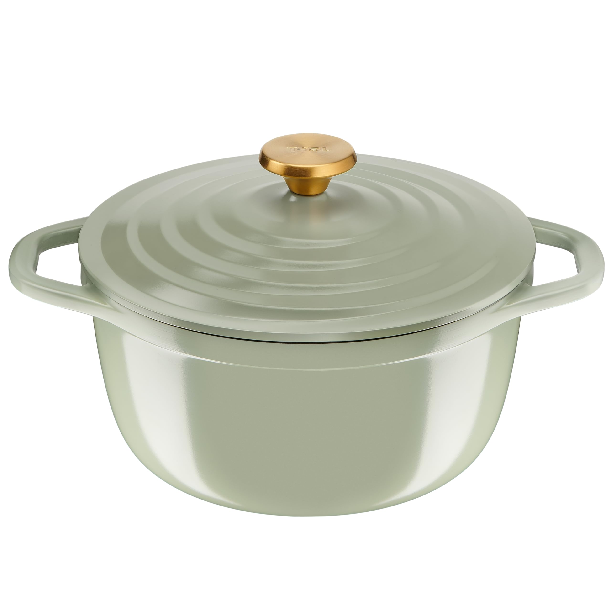 Tefal 24 cm gegoten aluminium braadpan, 4 5 personen, inductie