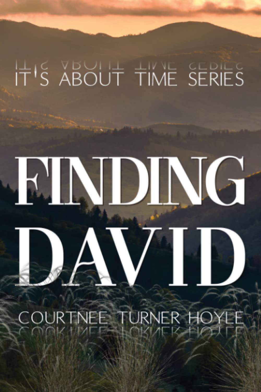 Finding David