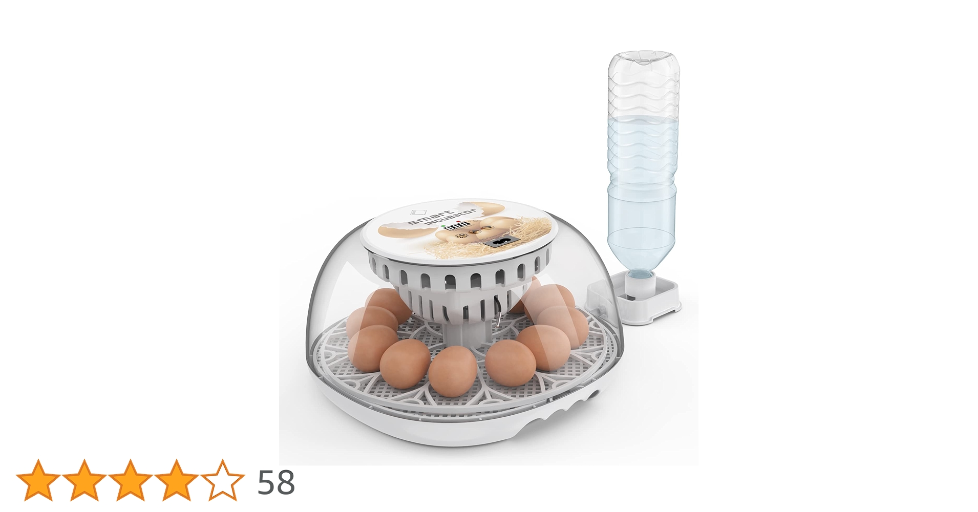 61sBQlMB25L.jpg_BO30,255,255,