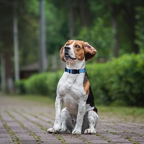 Miniatura 5 de AUDWUD Collar de nailon grueso, clásico ajustable, varios colores, adecuado para perros pequeños, medianos y grandes, 4 tamaños