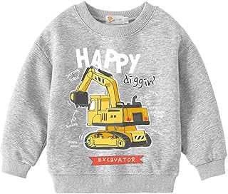 Little Boys Dinosaur Shirts Toddler Top T-Shirt Dino Baby Sweatshirts Pullover Clothes Toddler T-Shirt - Buy now