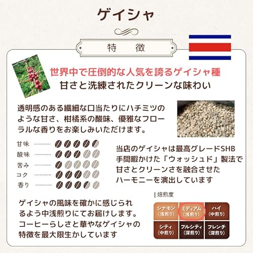 chill coffee ゲイシャ コスタリカSHB 浅煎りコーヒー豆 100g