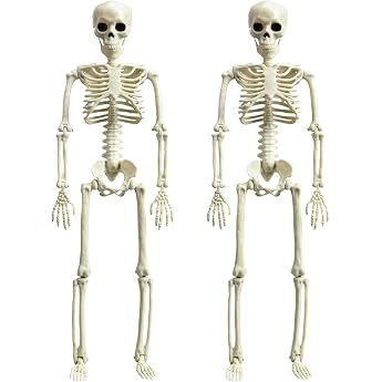 KEELYY Pack of 2 40 cm Halloween Skeleton Decoration Made of Plastic with Movable Joints for Halloween Fancy Dress Theme Parties - Indoor Garden Home Patio Decoration
