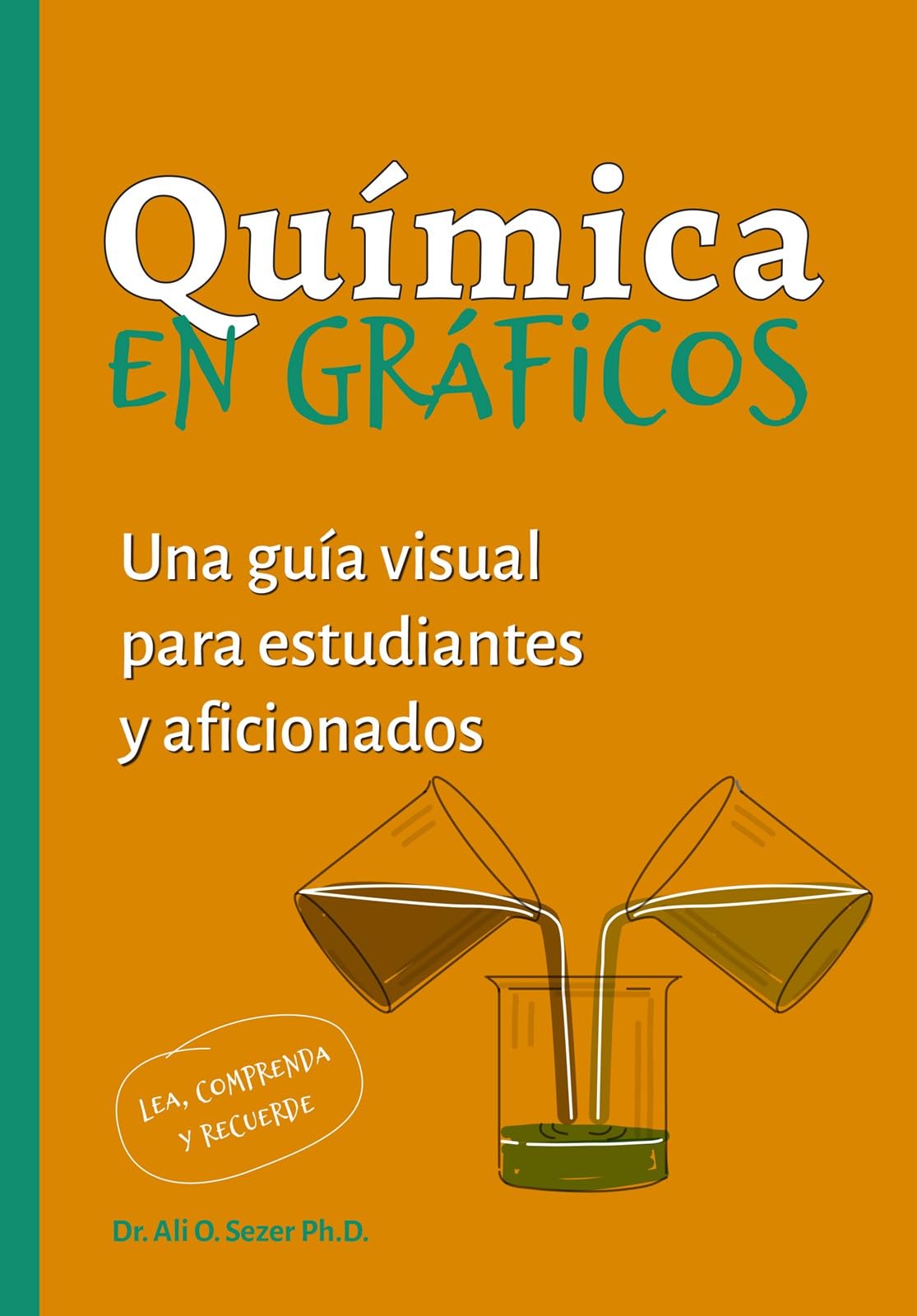 Química en gráficos: Una guía visual para estudiantes y aficionados: 20 (CIENCIAS)