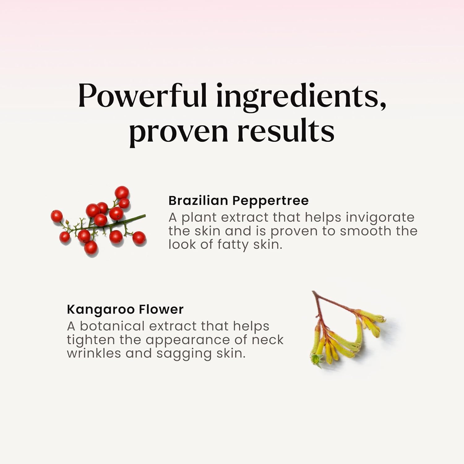 MAËLYS B-POISED Neck Firming Cream - Neck & Décolleté Firming, Tightening, and Anti-Aging Cream for Wrinkles with Brazilian Peppertree, Linoleic Acid, and Kangaroo Flower (1.7 Fl Oz) - Image 5