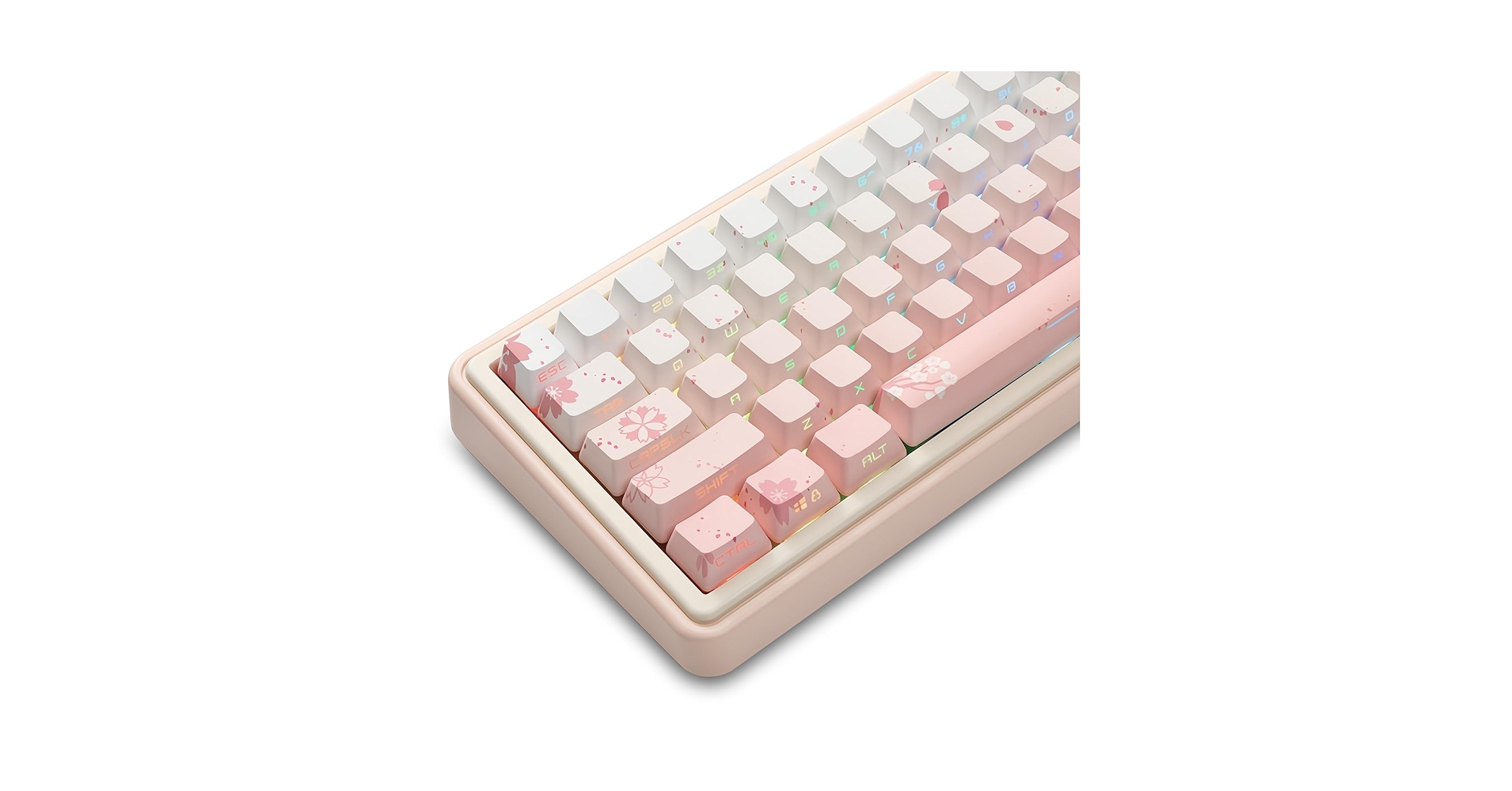 KKページです•ᴗ•ꕤ* Amazon.com: JKDK Side Printed Keycaps,Shine Through PBT Dye