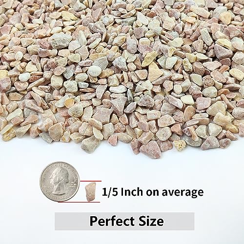 Image of YISZM 10LB Succulent and Cactus Gravel Pebbles, 1 /5 Inch Natural Decorative Polished Stones, River Rocks for Plants, Vases, Aquariums, Terrarium and Outdoor Gardening,Peach