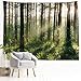 Produktbild XINYI (Home Wand aufhängen Natur Polyester-Kunst-Baum Thema Szenerie, Wand Decor für Wohnheim Zimmer, Schlafzimmer, Wohnzimmer, Nagel enthalten 90" W x 71" L (230cmx180cm) Sunlight Forest