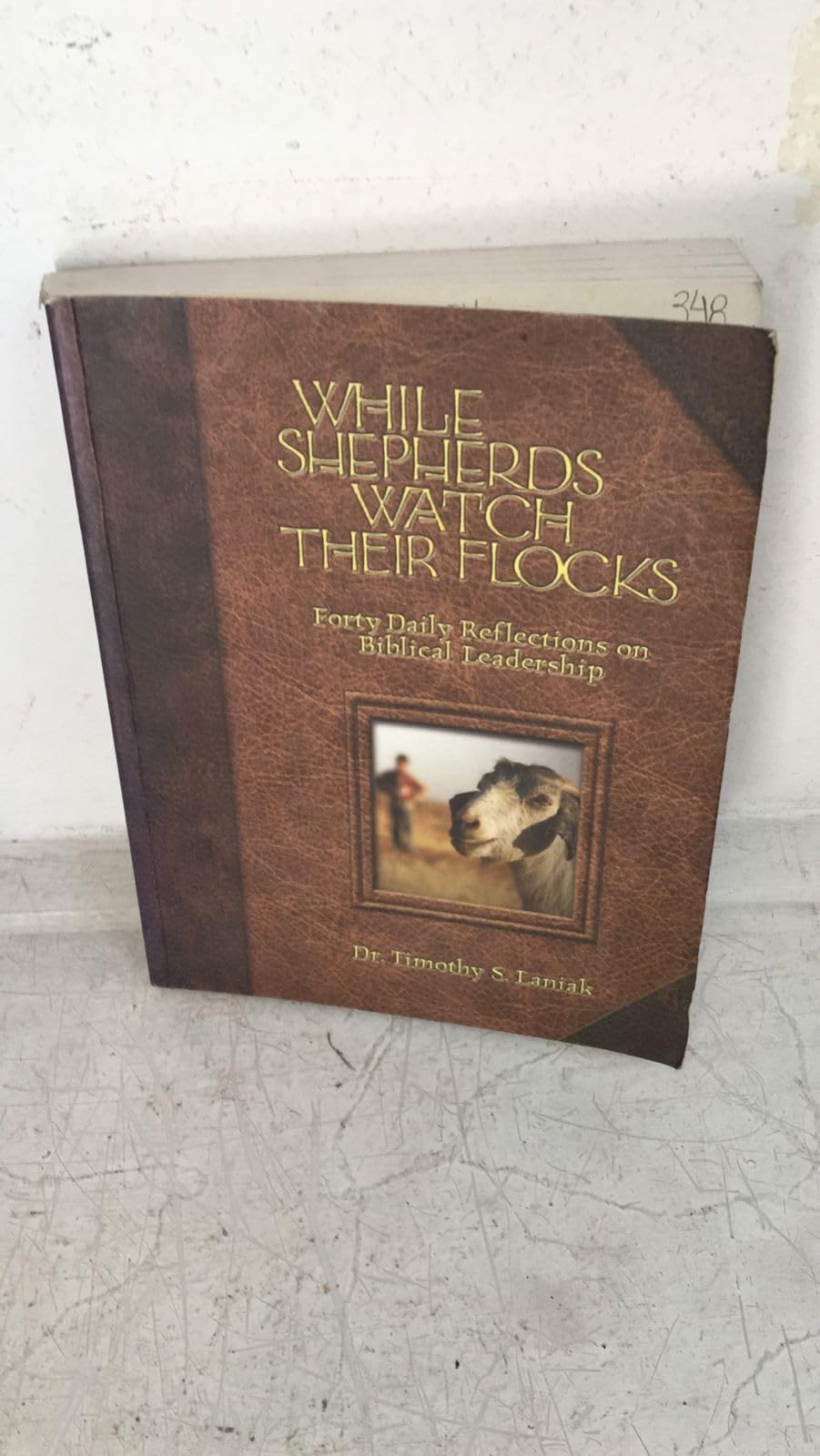 While Shepherds Watch Their Flocks: 40 Daily Reflections on Biblical Leadership