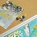 Lockways Cork Board Bulletin Board, Double Sided Corkboard 36