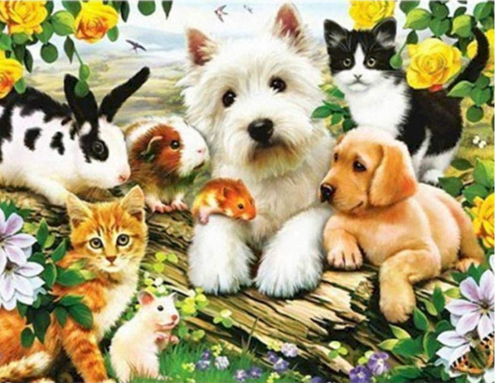 Peinture par numéros sur toile de chien 40x50cm bricolage loisir créatif adulte