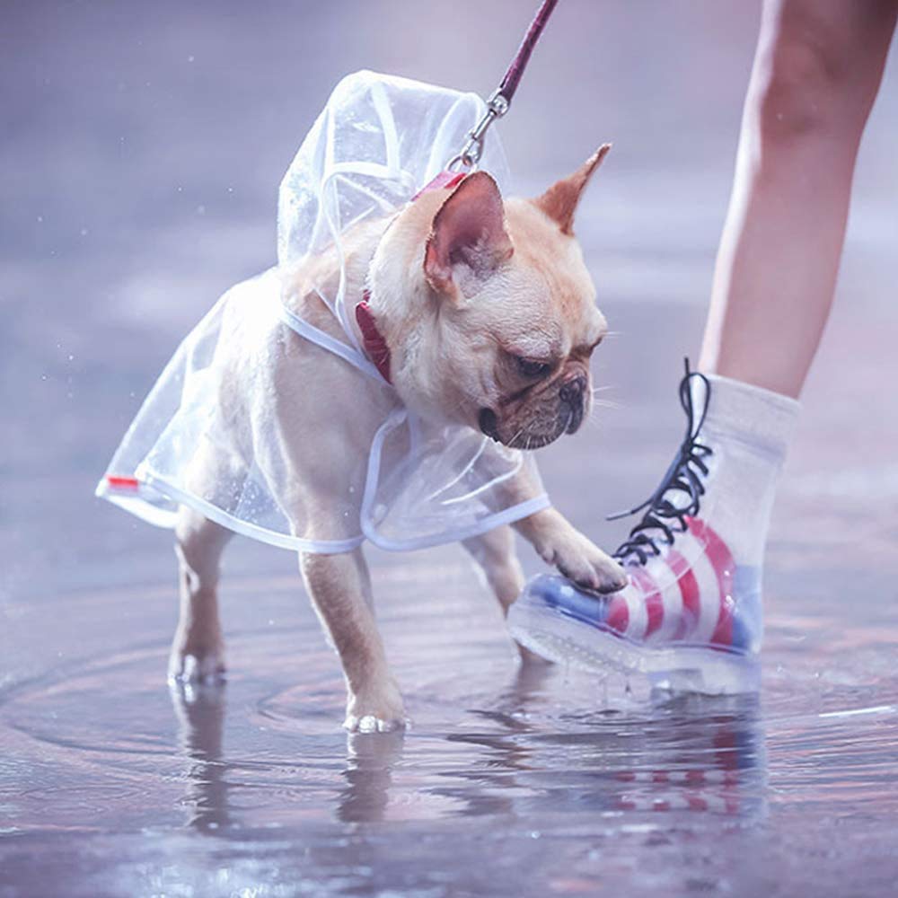 Cappottino catarifrangente per Cani Gatto con cappuccio, Regolabile PVC trasparente poncho impermeabile ultraleggero, Per cani di piccola taglia（bianca, L）