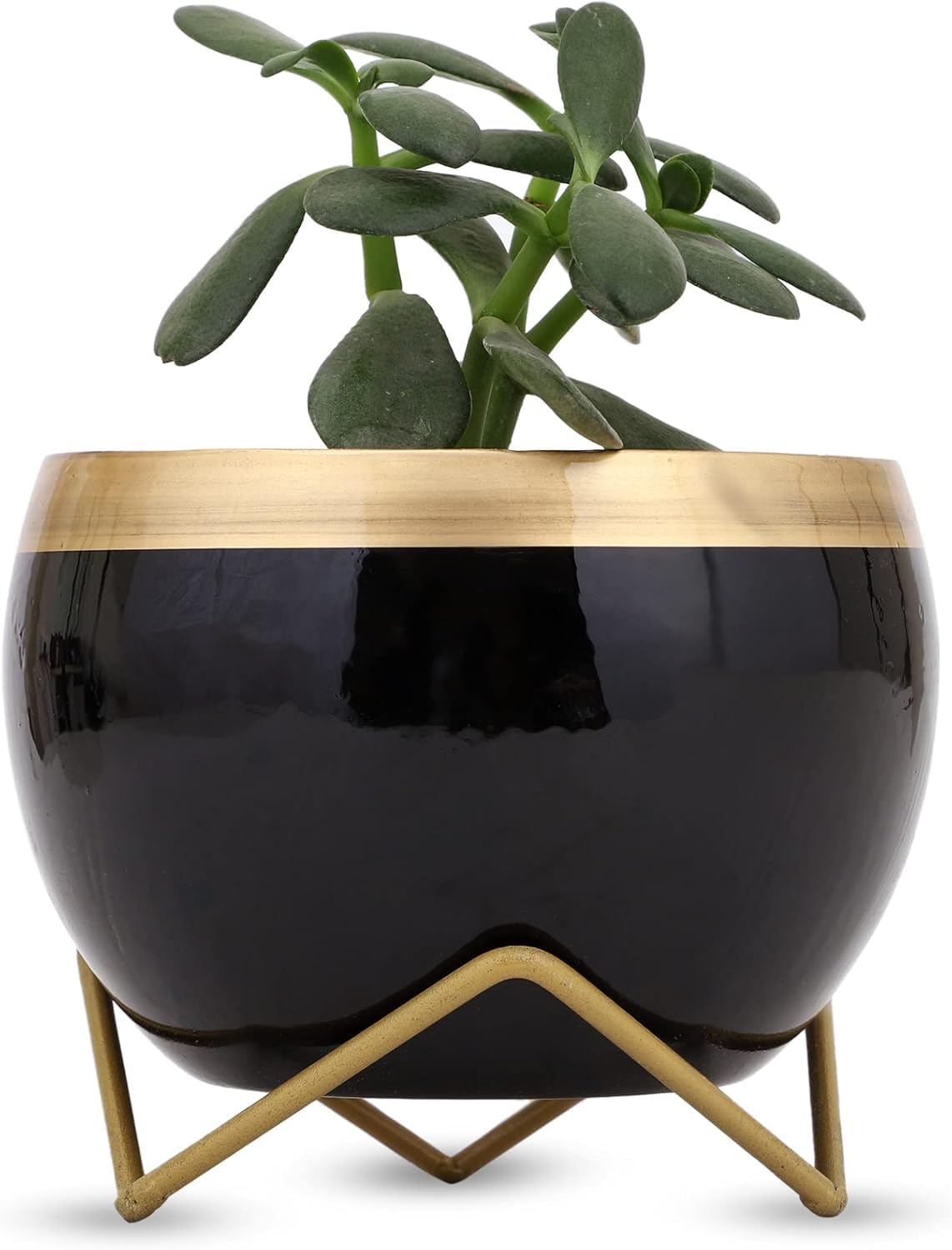 The Pot Dealer Metal Plant Stand Pot Holder-Indoor Mid Century Modern Plant Holder for House Plants, Home Decor Modern Pot Stand for Indoor Gardening Size 15cm x 15cm x 15cm (B0DF5BKW2R) Amazon Price History, Amazon Price Tracker