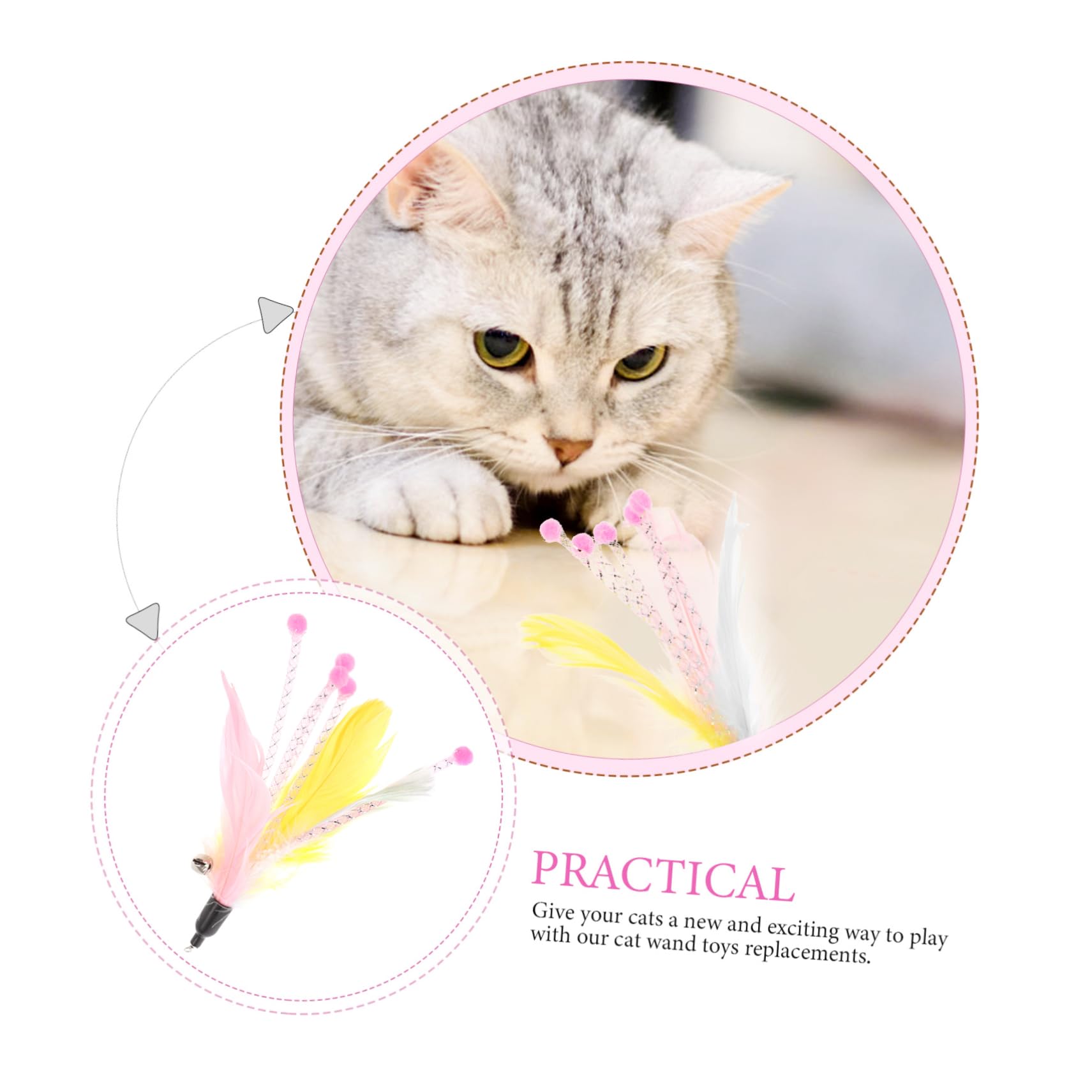 WOONEKY Lot De 5 Jouets Interactifs pour Chat 8 Pièces X 5