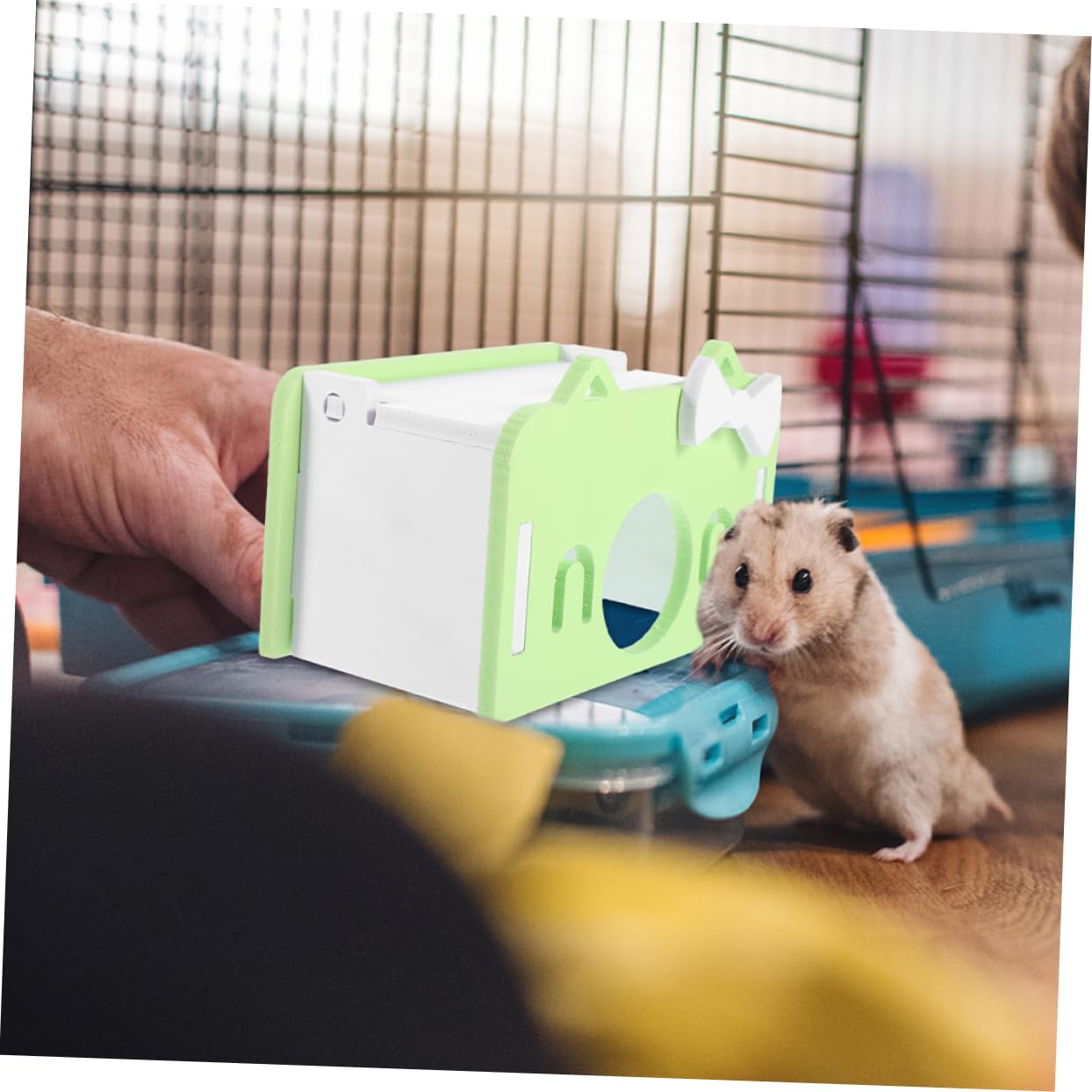 Supvox 10stücke Meerschweinchen Versteckhaus Kleintier-Hideout Für Hamster Chinchilla Und Andere Kleine Haustiere Zum Spielen Und Entspannen Kleiner Grüner Unterschlupf