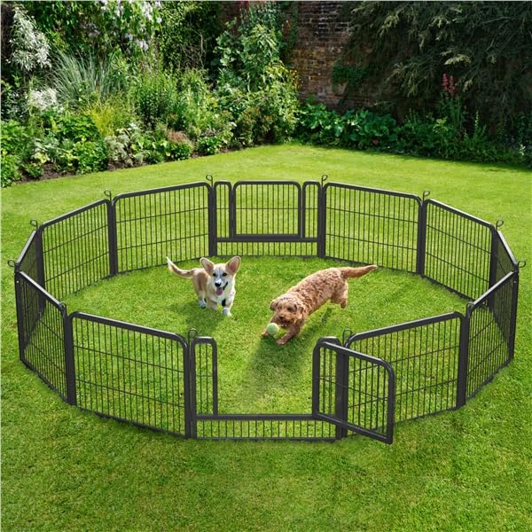 Yaheetech Parc pour Chien 12Panneaux Chenil Enclos en Métal 80 x 60 cm Noir | Clôture modulables pour chien, chiots, lapins, canards Cage pour Chien Barriere chien à loquet intérieur/extérieur Pliable