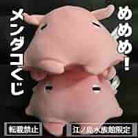Amazon.co.jp: メンダコくじぬいぐるみ2点+おまけ4点…えのすい