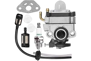 Craftsman 4-Cycle Weed Eater Carburetor