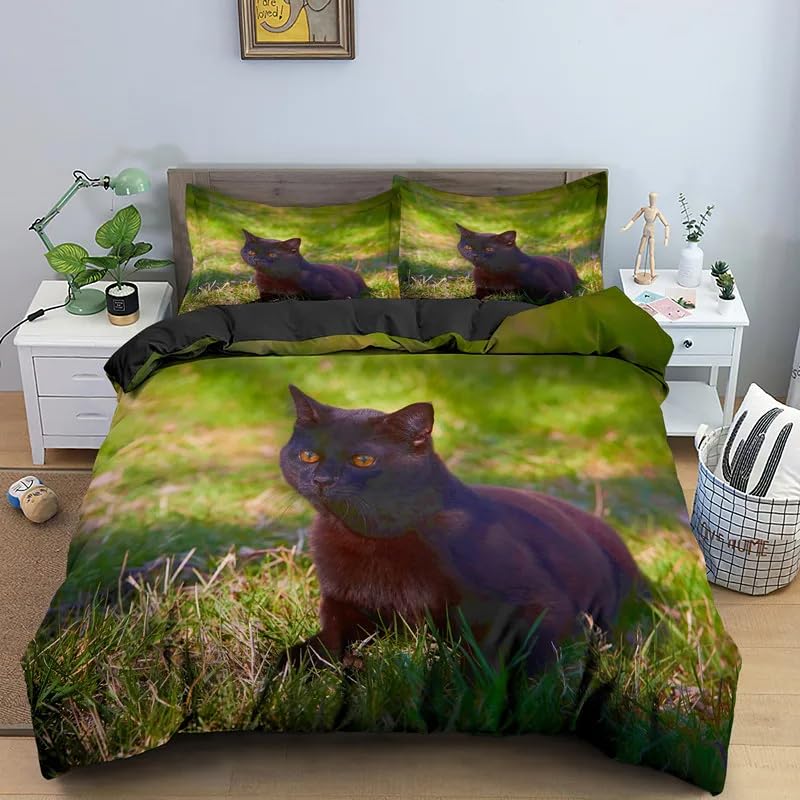 Housse de couette 240 x 260 chat anti-glissement avec fermeture éclair et parure de lit douce