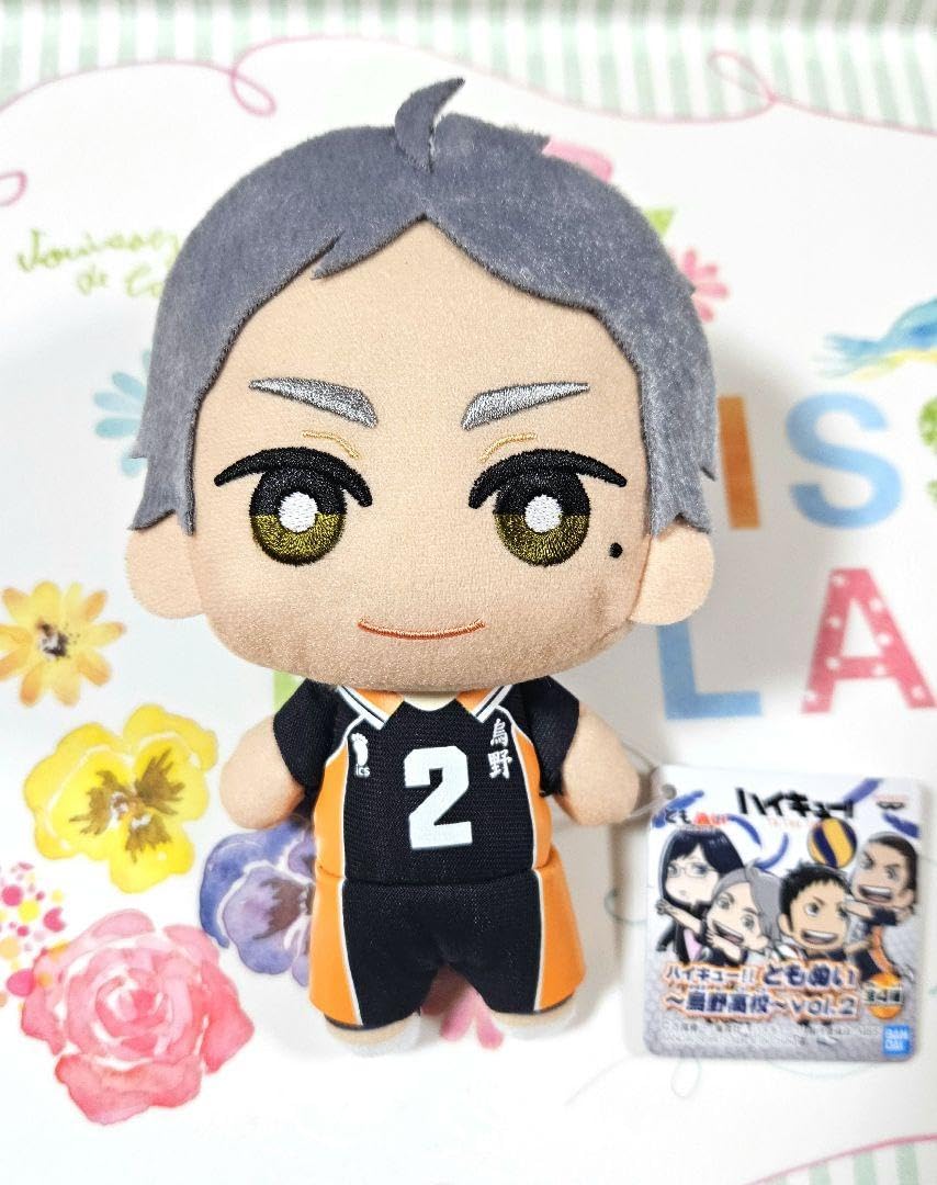 Amazon.co.jp: 菅原孝支☆ハイキュー!! ともぬい ぬいぐるみ ～烏野 