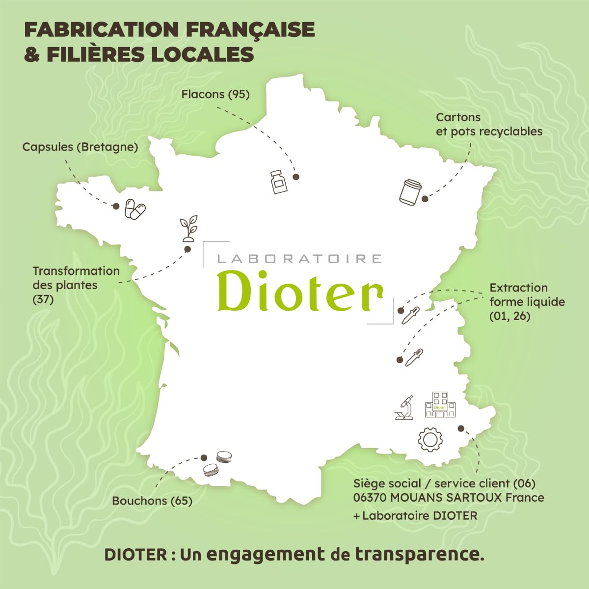 Dioméga Équilibre Cérébral, Oméga 3 végan, DHA d’Algues + Vitamine B12 – Complément Alimentaire végan - Mémoire, Concentration, Vision & Système Nerveux - 60 Gélules