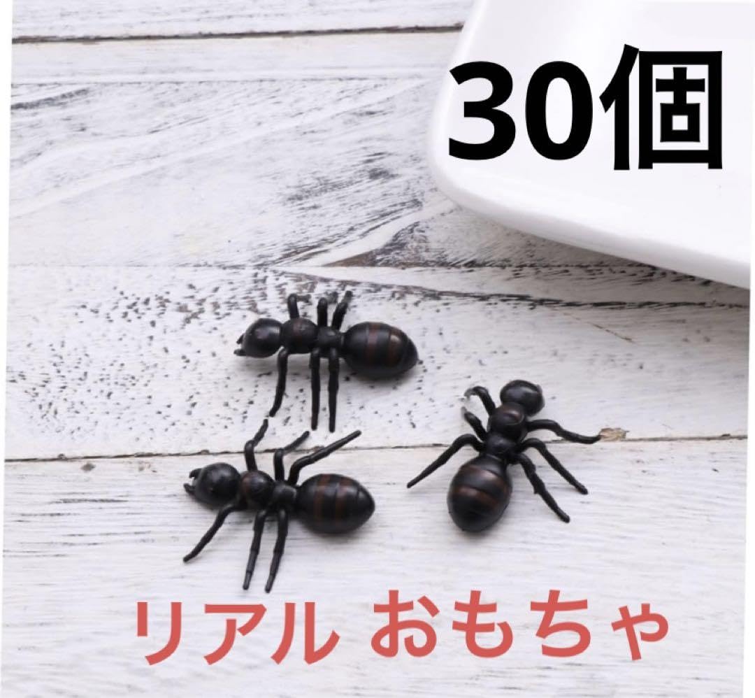 Amazon.co.jp: アリ 蟻 フィギュア 模型 30匹 どっきり 模型 蟻