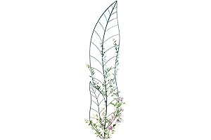 Outside Trellis for Garden Decor