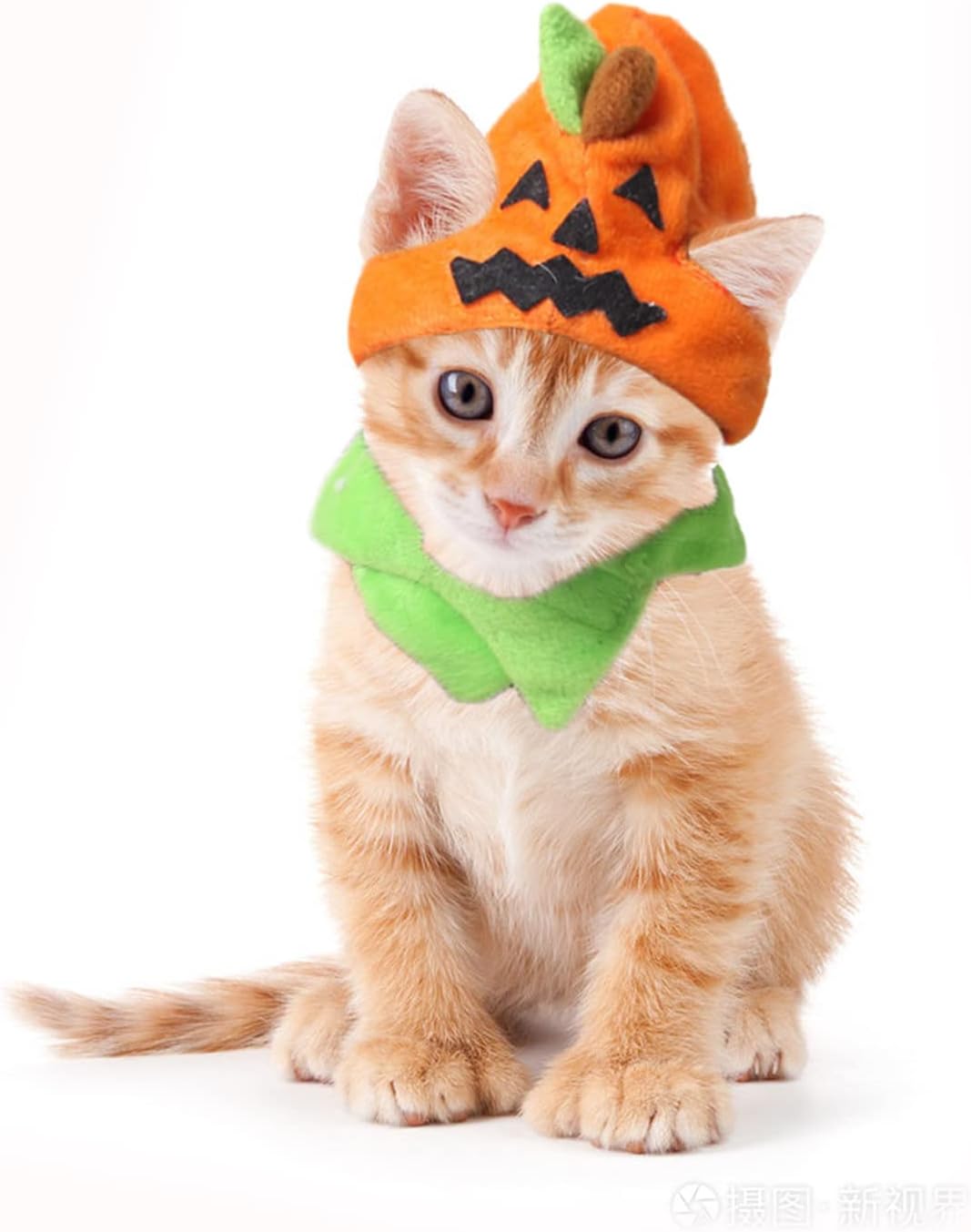 Halloween Pumpkin Cat Hat Adorable Pet Kitten Halloween Costume Accessories Cosplay Cap Festival Party Headwear with Adjustble Collar