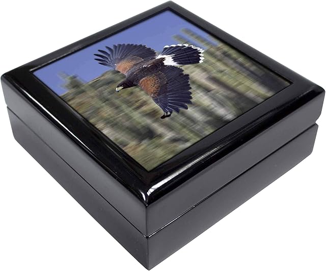 Advanta Group Flying Harris Hawk Bird of Prey Keepsake/Jewellery Box
